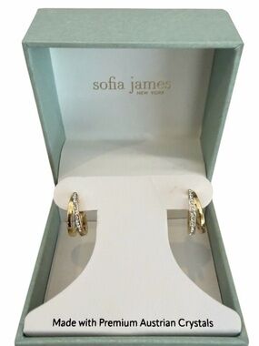 Sofia James Silver Plated Austrian Crystal Twin-Hoop Earrings NWT